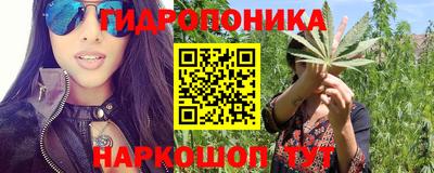 спиды Донской