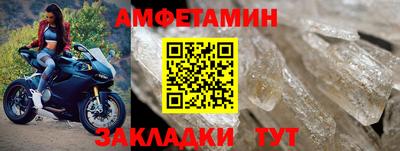 спиды Донской